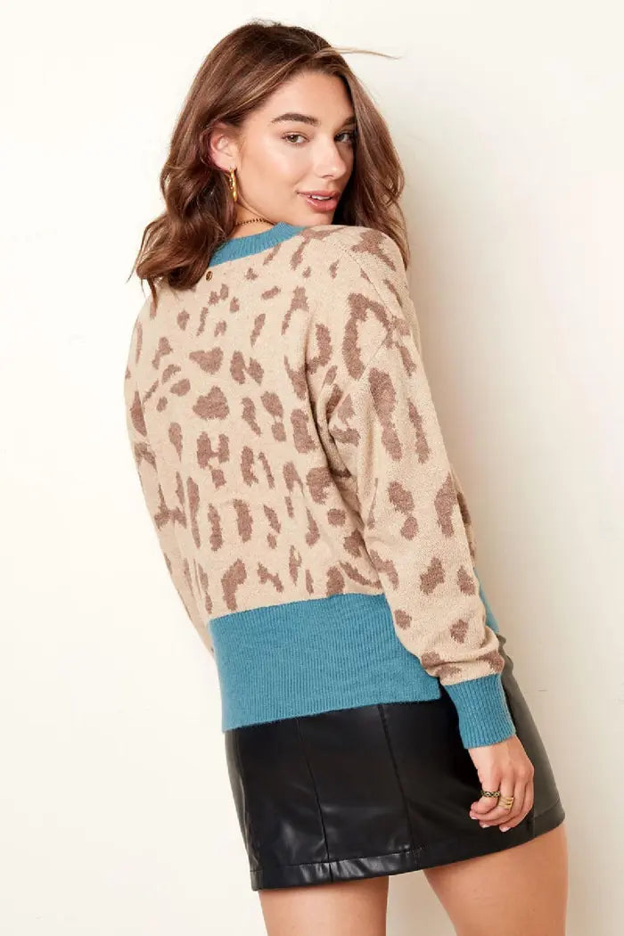 Leopard print sweater